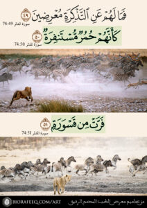 { فَمَا لَهُمْ عَنِ التَّذْكِرَةِ مُعْرِضِينَ } [74 المدثر: 49]. ، { كَأَنَّهُمْ حُمُرٌ مُّسْتَنفِرَةٌ } [74 المدثر: 50]. ، { فَرَّتْ مِن قَسْوَرَةٍ } [74 المدثر: 51]. ، من تصاميم معرض الطب المدمج الرفيق https://biorafeeq.com/art/، من تصاميم معرض صور الطب المدمج الرفيق ، الطب المدمج ، الطب المدمج الرفيق ، الأسباب الجذرية للأمراض المزمنة ، جميل السلمي ، جميل عواد السلمي