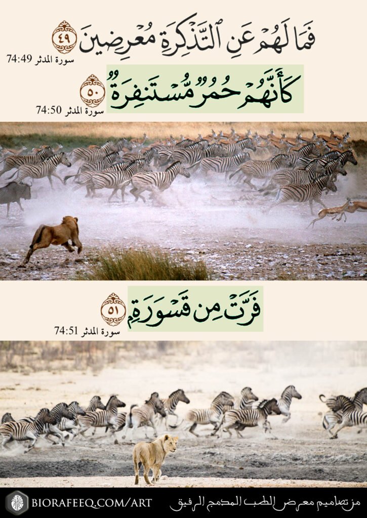 { فَمَا لَهُمْ عَنِ التَّذْكِرَةِ مُعْرِضِينَ } [74 المدثر: 49]. ، { كَأَنَّهُمْ حُمُرٌ مُّسْتَنفِرَةٌ } [74 المدثر: 50]. ، { فَرَّتْ مِن قَسْوَرَةٍ } [74 المدثر: 51]. ، من تصاميم معرض الطب المدمج الرفيق https://biorafeeq.com/art/، من تصاميم معرض صور الطب المدمج الرفيق ، الطب المدمج ، الطب المدمج الرفيق ، الأسباب الجذرية للأمراض المزمنة ، جميل السلمي ، جميل عواد السلمي