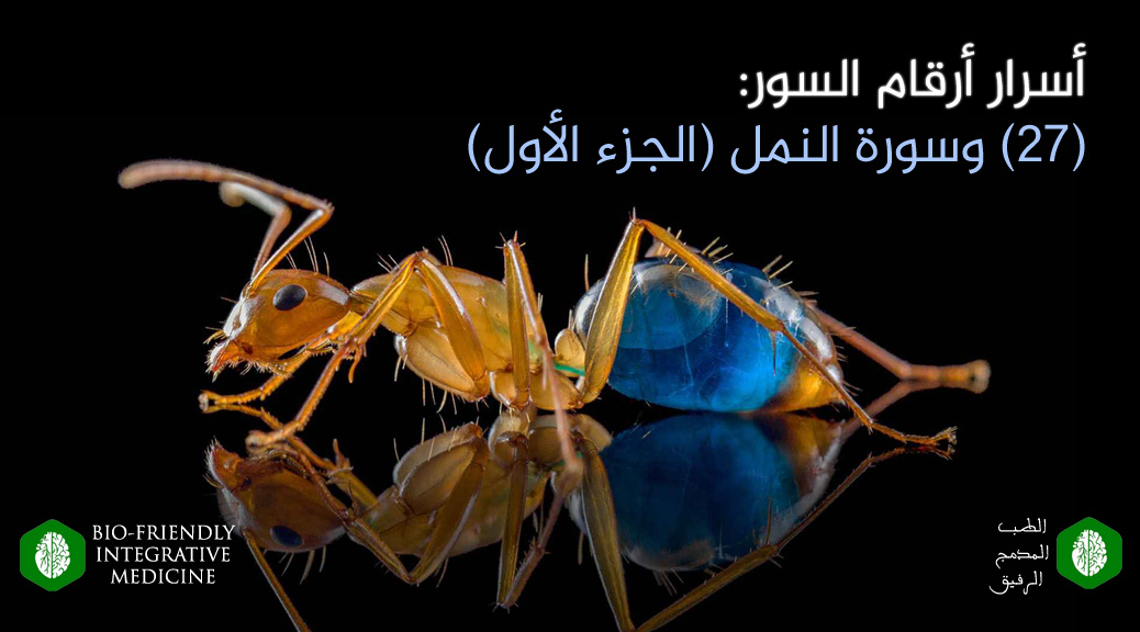 أسرار أرقام السور، 27 وسورة النمل، المدونات، أسباب الأمراض، طرق التداوي والعلاج، آيات الآفاق والأنفس (الإعجاز القرآني العلمي وتفسير القرآن الكريم بالعلوم التجريبية الحديثة)، علم أصول العلم والفقه، علم بدء الخلق ونشأته، علم التناسب بين الآيات والصور، علم تسوير القرآن، علم دقائق الفروق اللغوية، طب مدمج ، الطب المدمج ، الطب المدمج الرفيق ، الطب النبوي ، الطب الوظيفي ، الطب اليوناني ، الطب الصيني ، طب الضبط الحيوي ، طب الأسنان الشمولي ، طب الأسنان الحيوي ، طب الأسنان المدمج الرفيق ، جميل عواد السلمي ، مؤسس الطب المدمج الرفيق ، الأمراض المزمنة ، الأمراض المستعصية ، الآلام المزمنة ، الأمراض المناعية ، أسباب الأمراض ، منهج الضبط المجموعي الفائق ، علاج الضبط المجموعي الجوهري ، الحجامة ، الإبر الصينية ، الأستيوباثى ، تقويم الفقرات ، الزيوت العطرية ، العلق ، الرقية ، الأمعاء المسربة ، حشوات الزئبق ، الحشوات الفضية ، الأسنان الميتة والتي تعالج عن طريق حشوات العصب ، التجاويف الغير الملتئمة في الفك cavitations ، الزرعات المعدنية ، أقواس النيكل المستخدمة في تقويم الأسنان ، التهاب اللثة المزمن ، ESR Therapy ، Essential Systemic Regulation Therapy ، USR Method ، Ultra Systemic Regulation Method ، آيات الآفاق والأنفس
