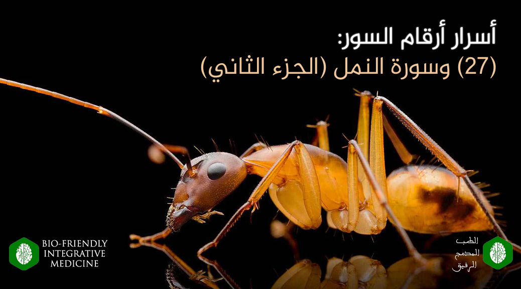 أسرار أرقام السور، 27 وسورة النمل، المدونات، أسباب الأمراض، طرق التداوي والعلاج، آيات الآفاق والأنفس (الإعجاز القرآني العلمي وتفسير القرآن الكريم بالعلوم التجريبية الحديثة)، علم أصول العلم والفقه، علم بدء الخلق ونشأته، علم التناسب بين الآيات والصور، علم تسوير القرآن، علم دقائق الفروق اللغوية، طب مدمج ، الطب المدمج ، الطب المدمج الرفيق ، الطب النبوي ، الطب الوظيفي ، الطب اليوناني ، الطب الصيني ، طب الضبط الحيوي ، طب الأسنان الشمولي ، طب الأسنان الحيوي ، طب الأسنان المدمج الرفيق ، جميل عواد السلمي ، مؤسس الطب المدمج الرفيق ، الأمراض المزمنة ، الأمراض المستعصية ، الآلام المزمنة ، الأمراض المناعية ، أسباب الأمراض ، منهج الضبط المجموعي الفائق ، علاج الضبط المجموعي الجوهري ، الحجامة ، الإبر الصينية ، الأستيوباثى ، تقويم الفقرات ، الزيوت العطرية ، العلق ، الرقية ، الأمعاء المسربة ، حشوات الزئبق ، الحشوات الفضية ، الأسنان الميتة والتي تعالج عن طريق حشوات العصب ، التجاويف الغير الملتئمة في الفك cavitations ، الزرعات المعدنية ، أقواس النيكل المستخدمة في تقويم الأسنان ، التهاب اللثة المزمن ، ESR Therapy ، Essential Systemic Regulation Therapy ، USR Method ، Ultra Systemic Regulation Method ، آيات الآفاق والأنفس