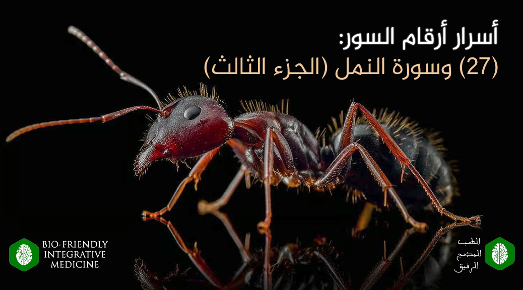 أسرار أرقام السور، 27 وسورة النمل، المدونات، أسباب الأمراض، طرق التداوي والعلاج، آيات الآفاق والأنفس (الإعجاز القرآني العلمي وتفسير القرآن الكريم بالعلوم التجريبية الحديثة)، علم أصول العلم والفقه، علم بدء الخلق ونشأته، علم التناسب بين الآيات والصور، علم تسوير القرآن، علم دقائق الفروق اللغوية، طب مدمج ، الطب المدمج ، الطب المدمج الرفيق ، الطب النبوي ، الطب الوظيفي ، الطب اليوناني ، الطب الصيني ، طب الضبط الحيوي ، طب الأسنان الشمولي ، طب الأسنان الحيوي ، طب الأسنان المدمج الرفيق ، جميل عواد السلمي ، مؤسس الطب المدمج الرفيق ، الأمراض المزمنة ، الأمراض المستعصية ، الآلام المزمنة ، الأمراض المناعية ، أسباب الأمراض ، منهج الضبط المجموعي الفائق ، علاج الضبط المجموعي الجوهري ، الحجامة ، الإبر الصينية ، الأستيوباثى ، تقويم الفقرات ، الزيوت العطرية ، العلق ، الرقية ، الأمعاء المسربة ، حشوات الزئبق ، الحشوات الفضية ، الأسنان الميتة والتي تعالج عن طريق حشوات العصب ، التجاويف الغير الملتئمة في الفك cavitations ، الزرعات المعدنية ، أقواس النيكل المستخدمة في تقويم الأسنان ، التهاب اللثة المزمن ، ESR Therapy ، Essential Systemic Regulation Therapy ، USR Method ، Ultra Systemic Regulation Method ، آيات الآفاق والأنفس